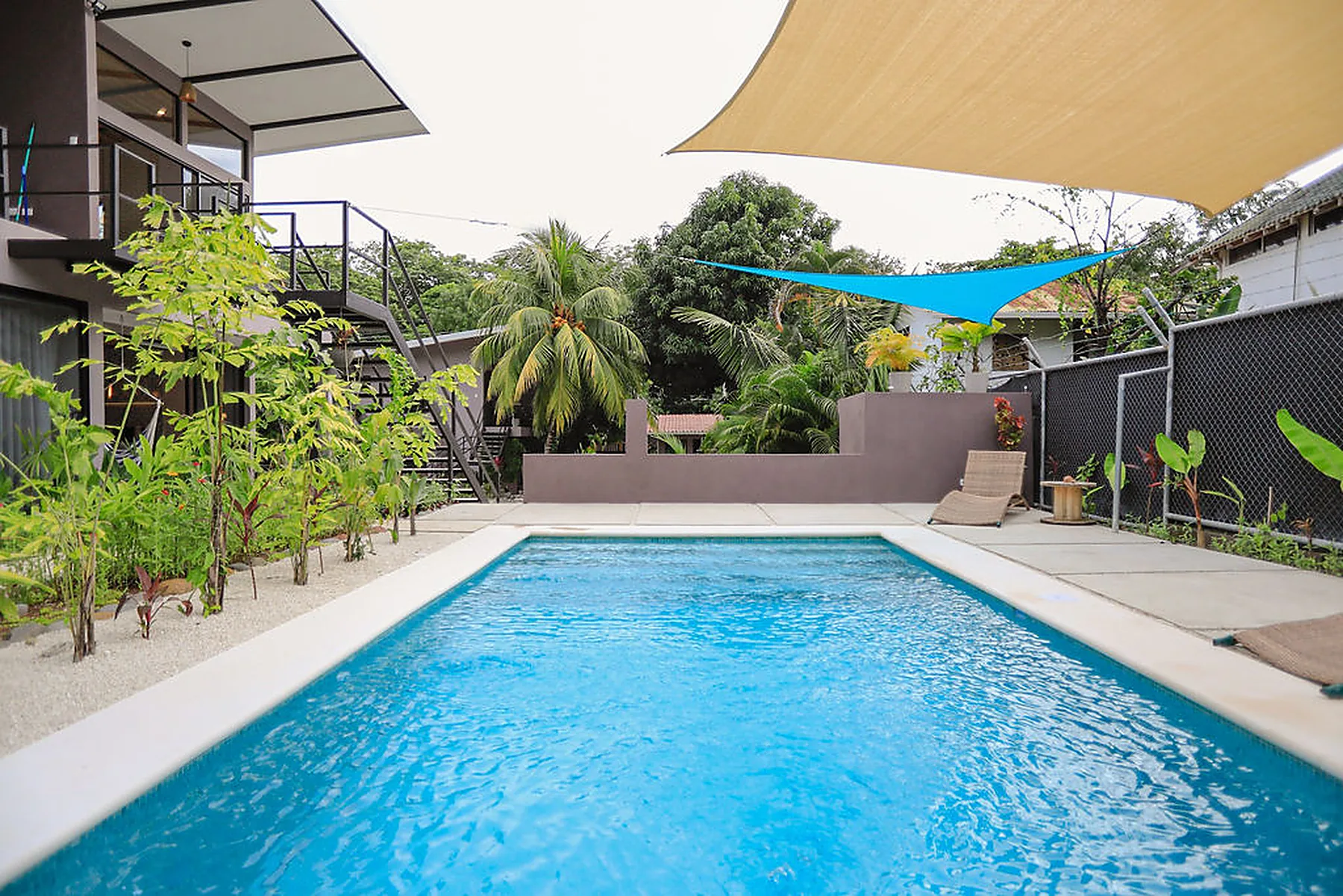 Saltwater pool with teak loungers